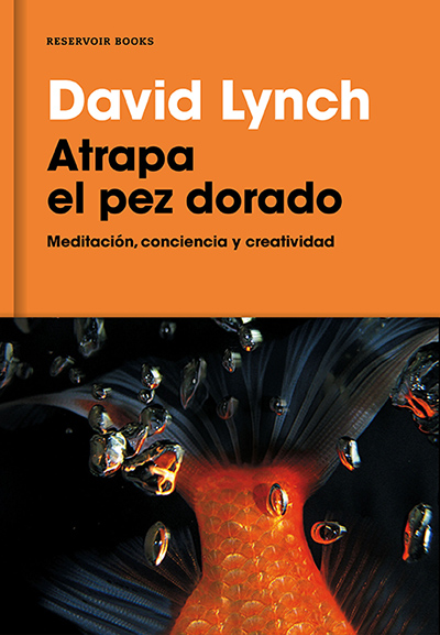 Atrapa el pez dorado por David Lynch en iBooks